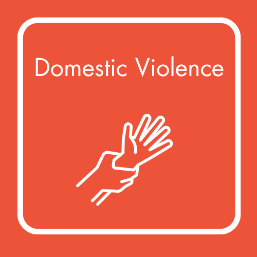 Domestic Violence